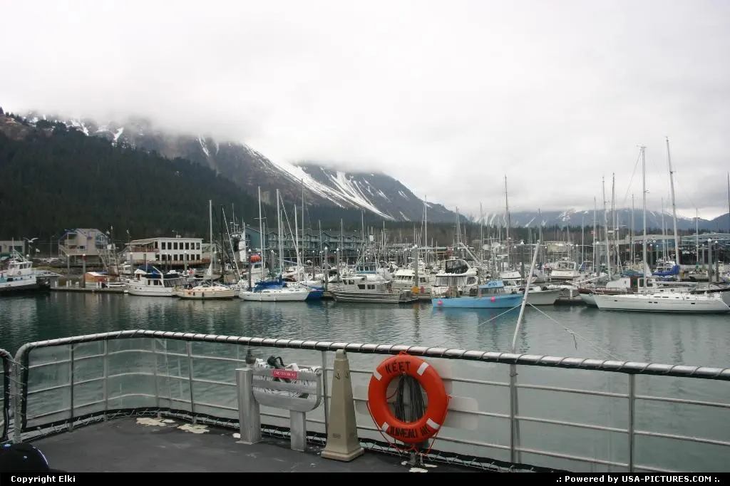Seward Harbor, gateway to fantastic cruises in the wild