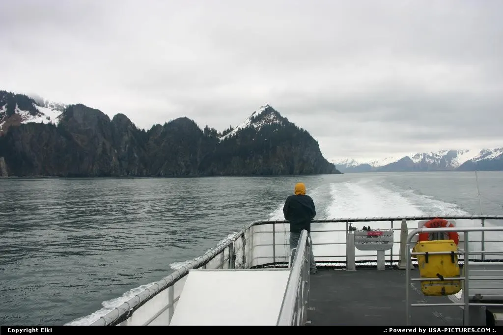 Cruise into the wild