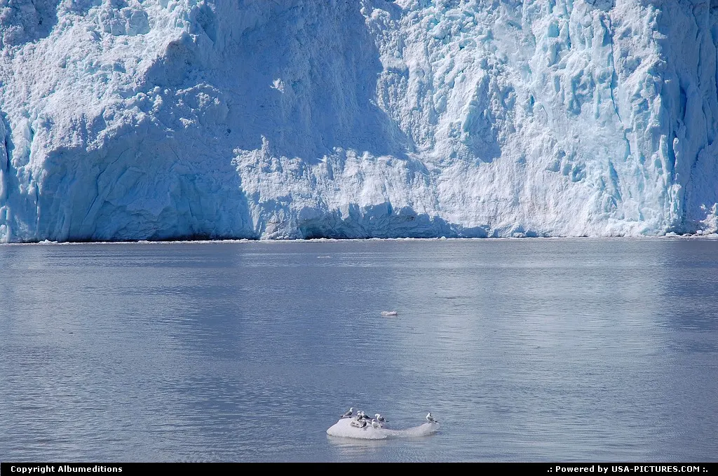 Spectacular blue face of the Aialik Glacier (Kenai Fjords NP - Alaska).