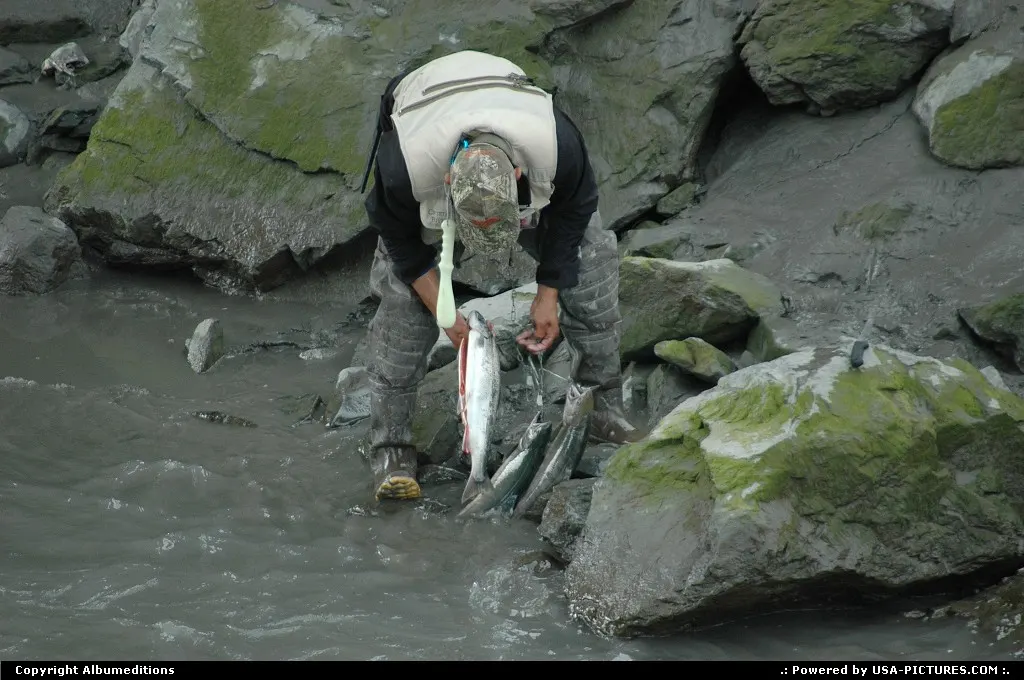 The Kenai River offer the best salmon fishing.