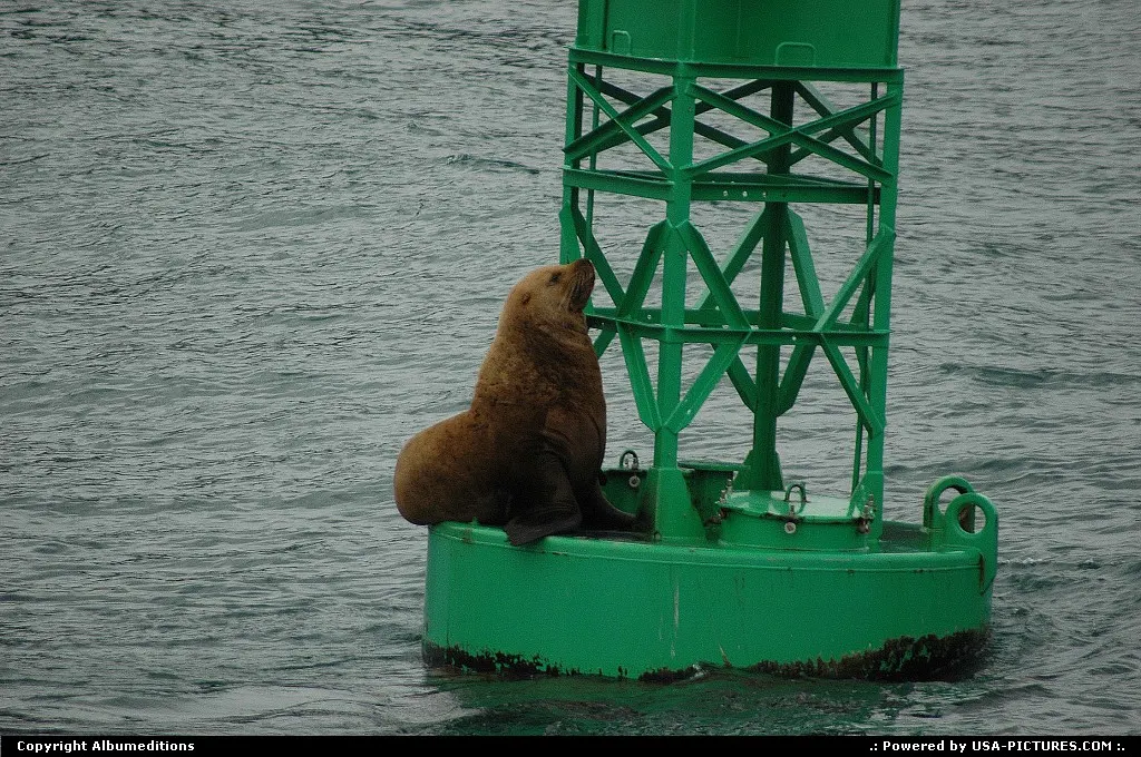 The seas around Alaska, rich in plankton and fish, support marine mammals, such as sea-...