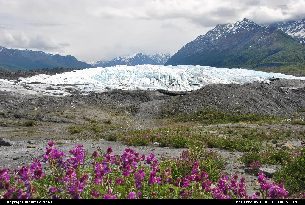 The Matanuska Glacier is a large ice flow, 24 miles long and 4 miles wide at the termin...