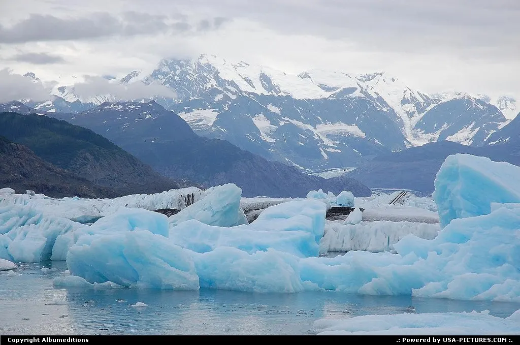 Columbia Glacier calved so much ice that it choked the waters of the Prince William Sou...
