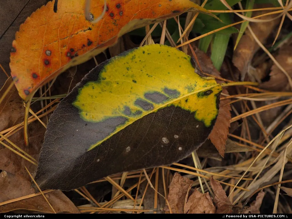 Fall changes.
