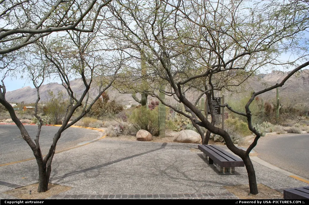 Entrance of the Sabino Canyon, near Tucson
