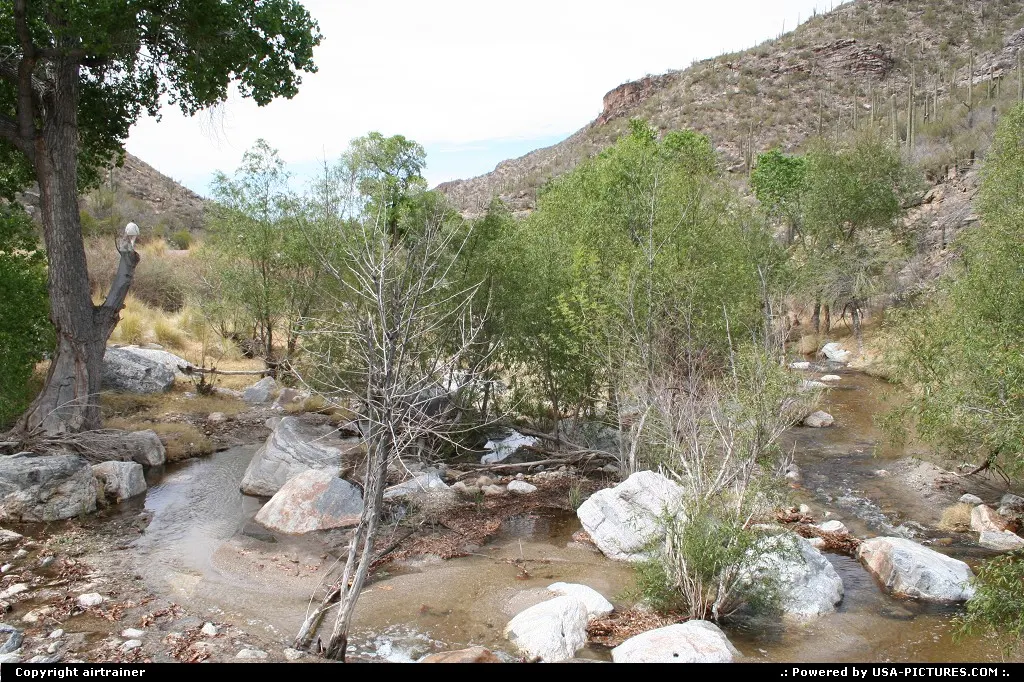 Sabino Canyon