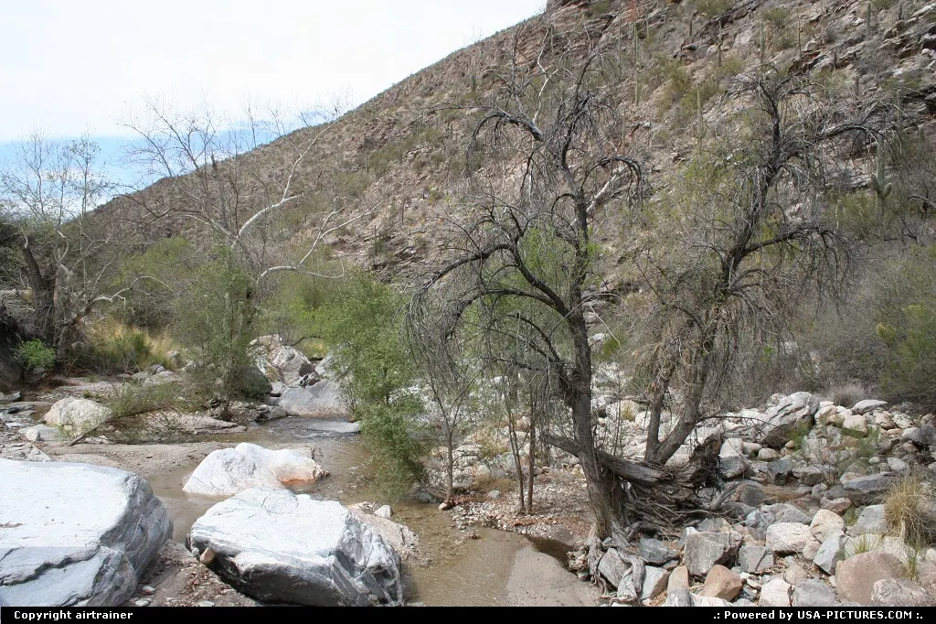 Sabino Canyon