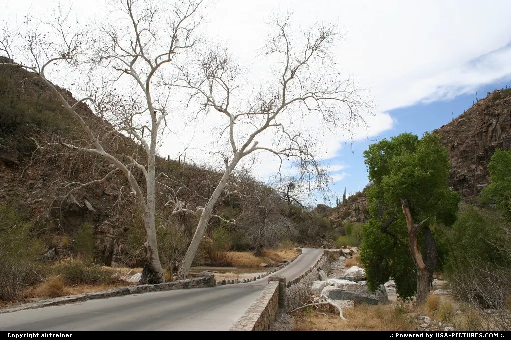 Sabino Canyon
