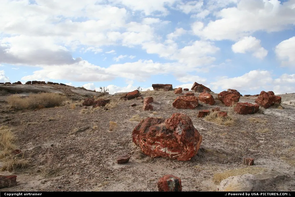 Petrified Forest NP.