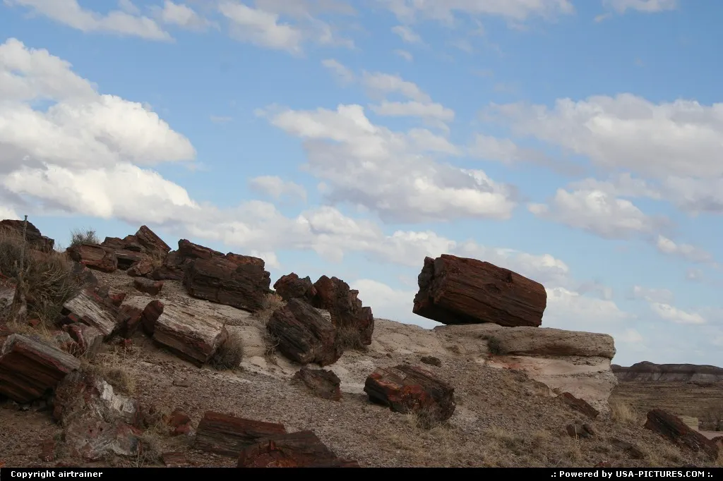 Petrified Forest
