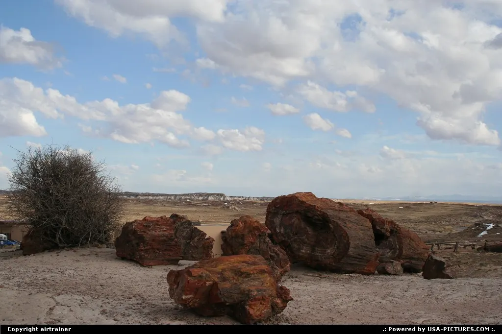 Petrified Forest NP
