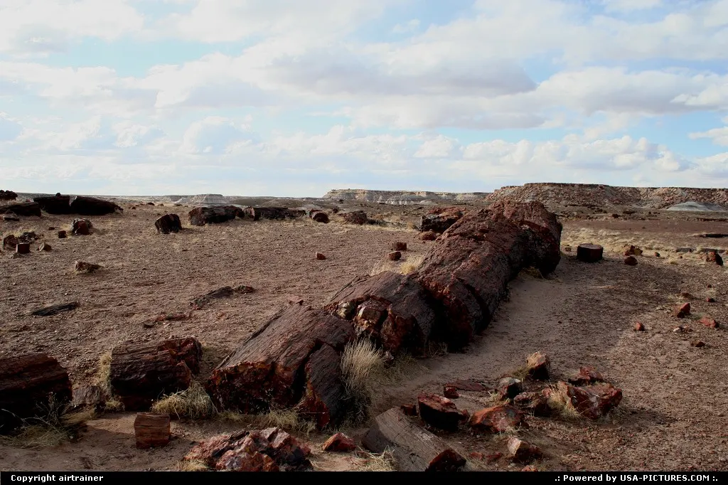 Petrified Forest NP