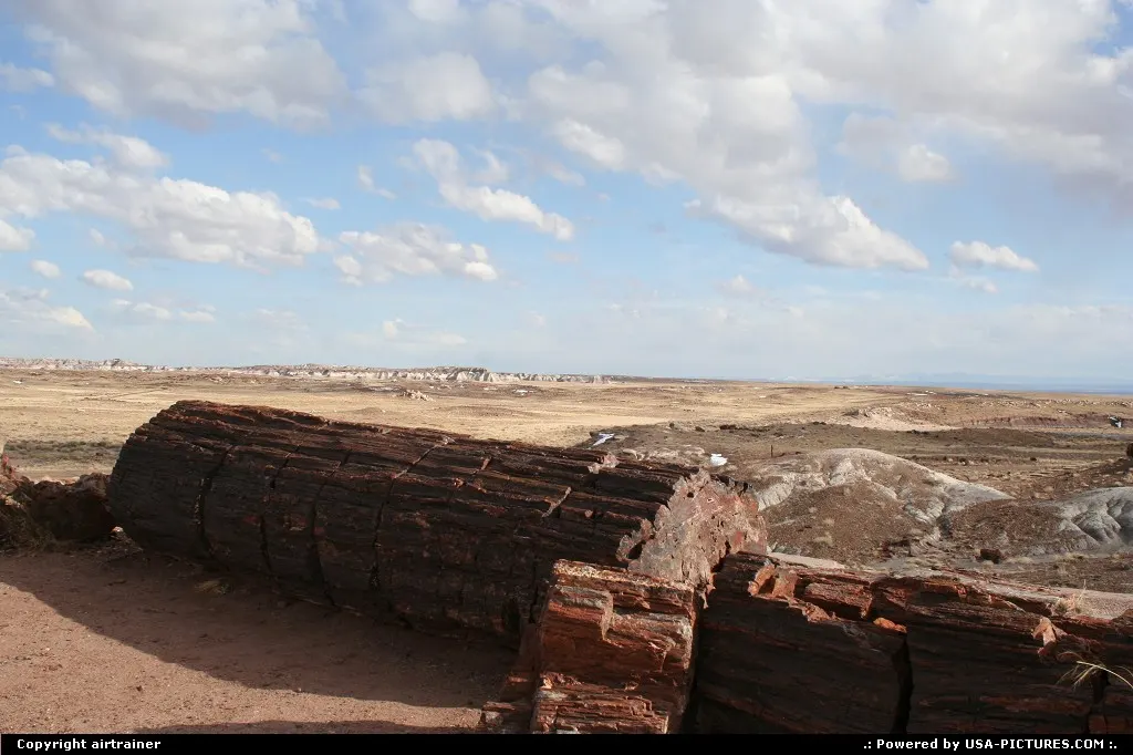 Petrified Forest NP