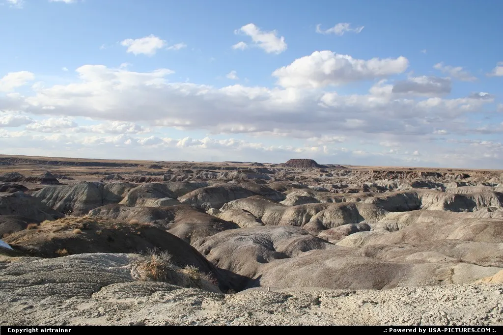 Petrified Forest / Painted Desert.