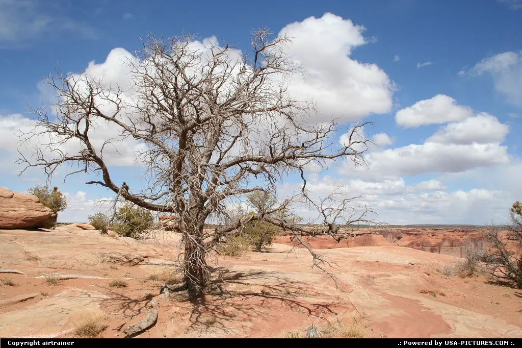Canyon de Chelly