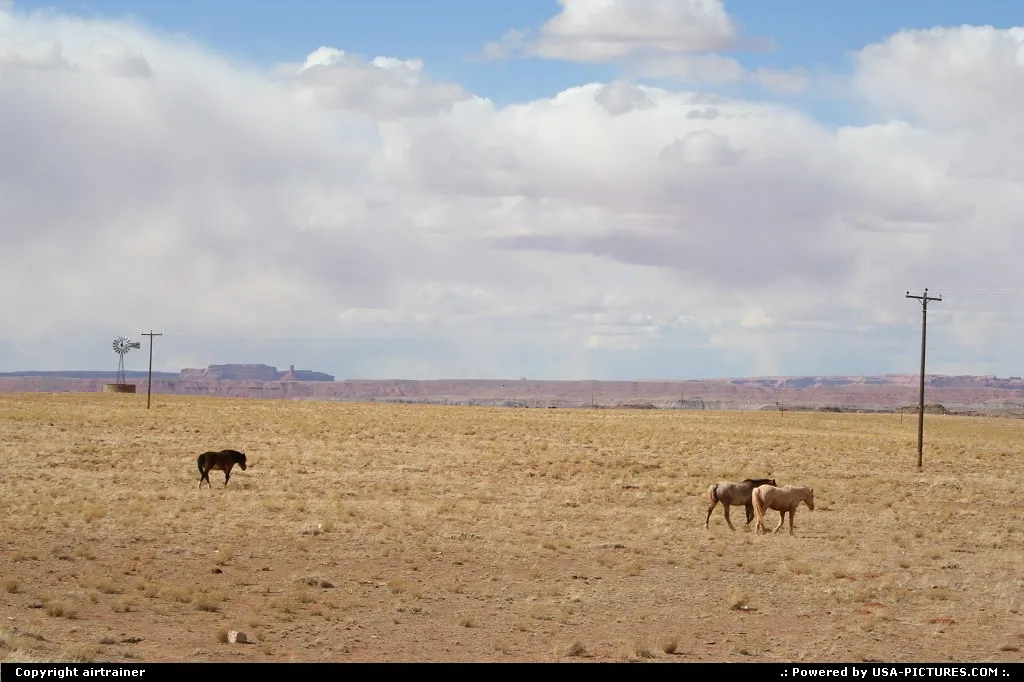Countryside and quiet horses between Chinle and Monument Valley
