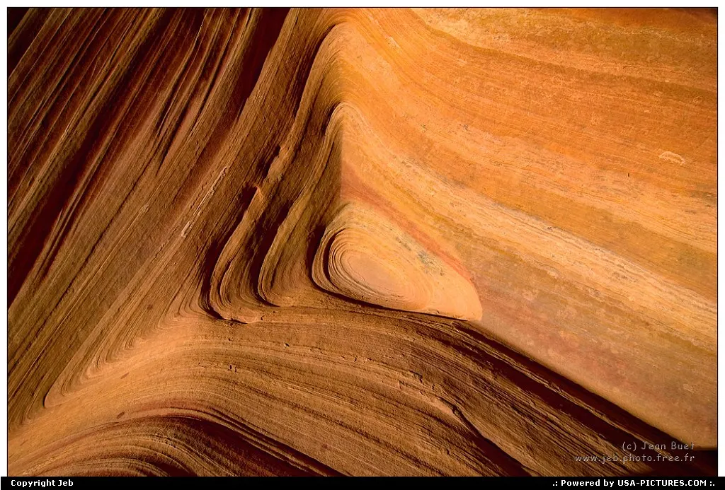 The wave