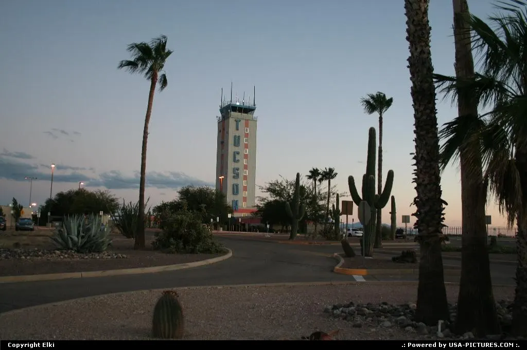 Cactus, palms, and Aiport