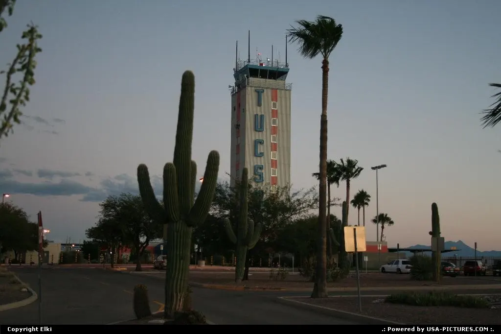 Now this is a big cactus