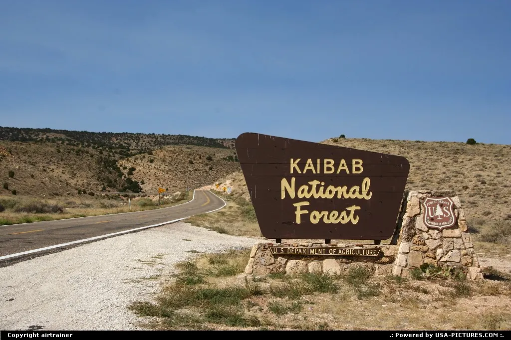 Road 89