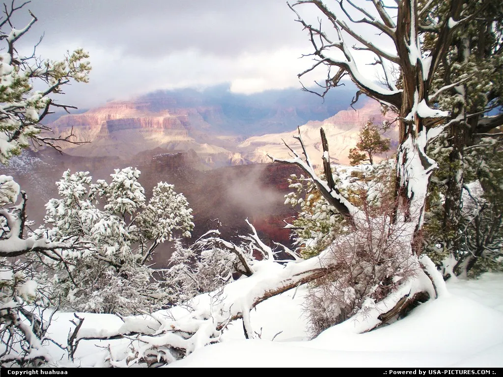Arizona Grand Canyon