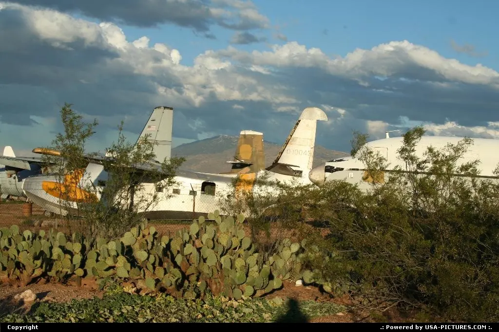 One of the several boneyard near Tucson.