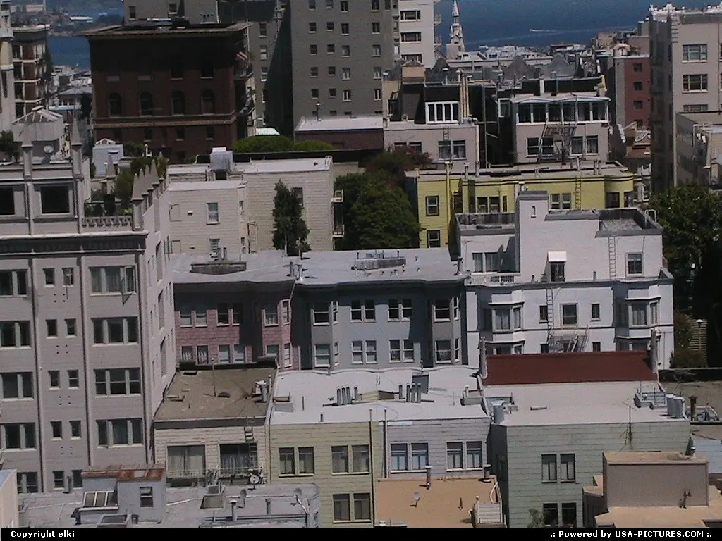 San francisco typical houses and building