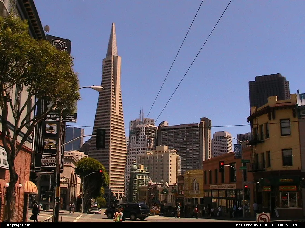 Downtown view