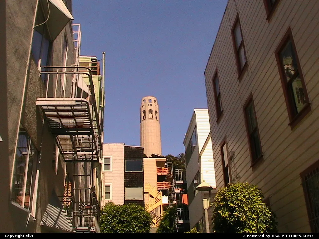 coit tower ... everywhere