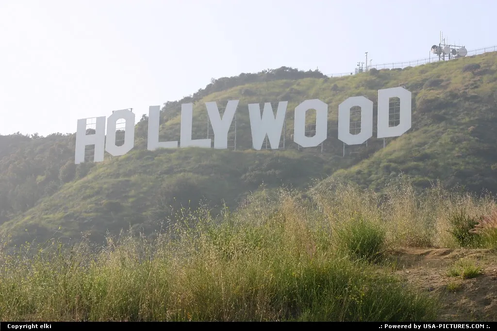 Holywood