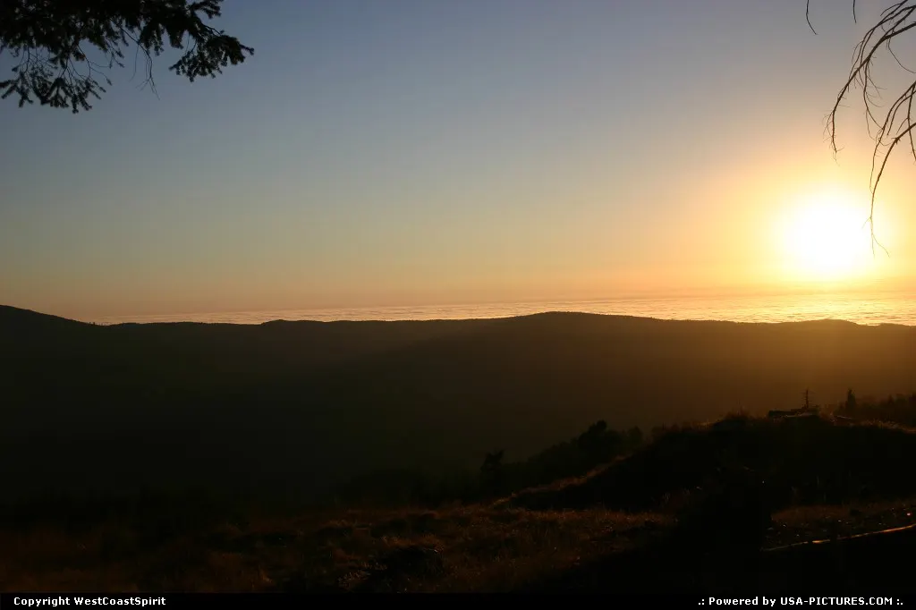 Sunset in Redwood National Park