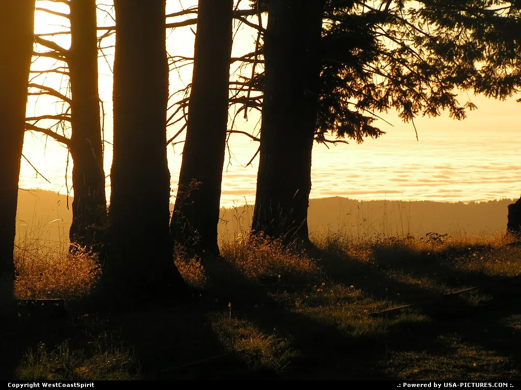 Sunset in the park, with a wide sea of clouds