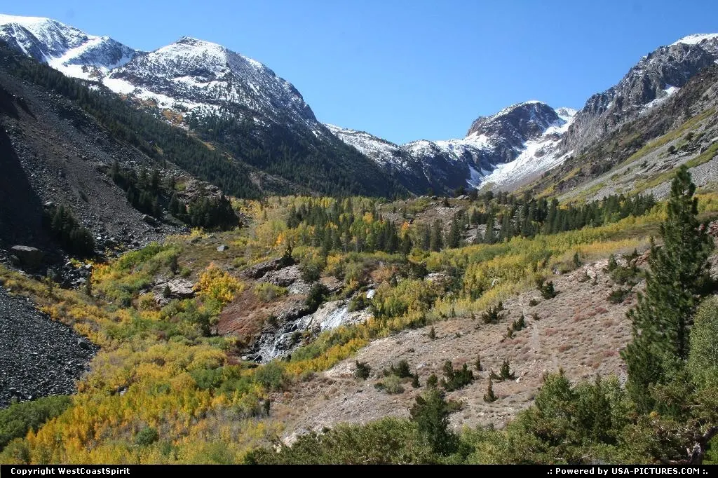 Lundy Canyon in Inyon National Forest. Best place around to see fall colors.