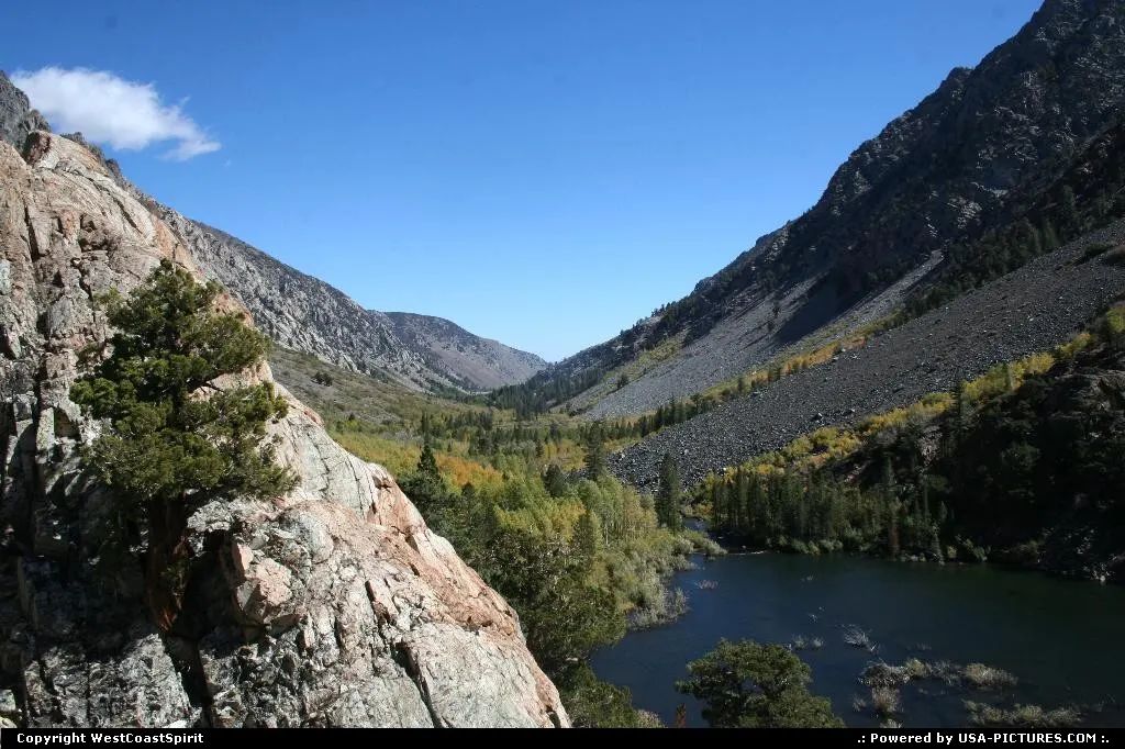 Lundy Canyon in Inyon National Forest. Your best bet around to enjoy fall' colors!