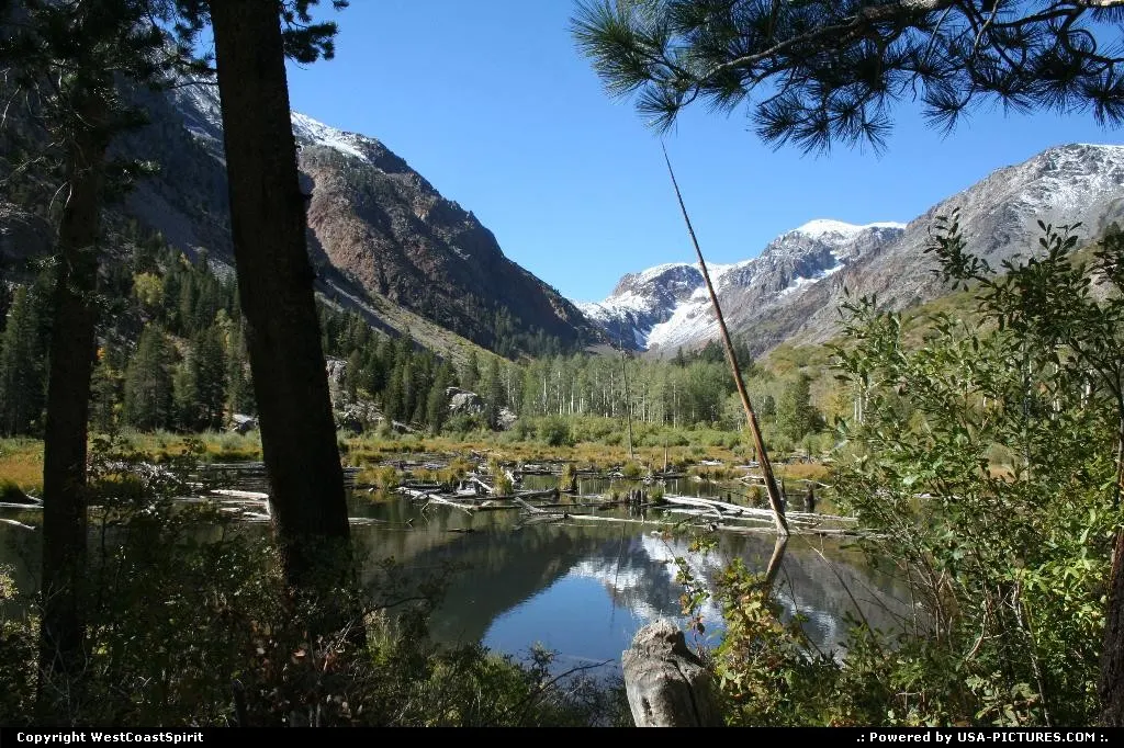 Magical creek in Inyon National Forest, close to Lundy Canyon.