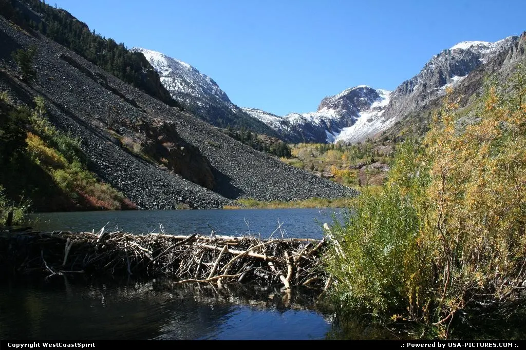Magical creek, Lundy Canyon in Inyon National Forest.
