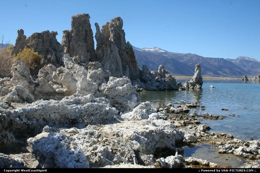 Calcium formation in Mono Lake, California