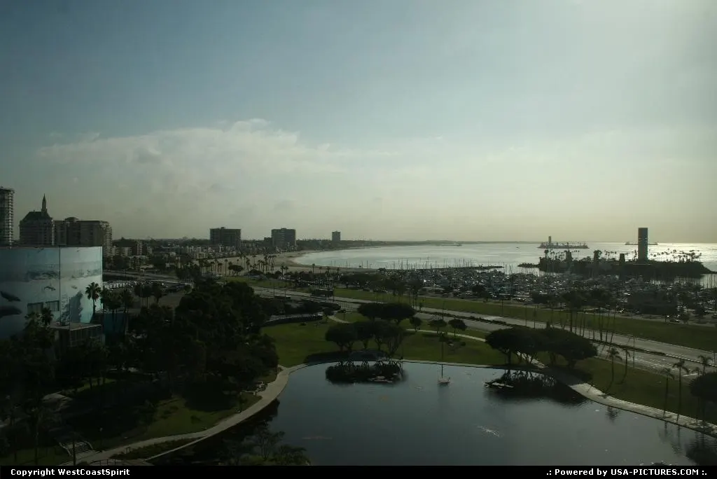 Overview of the Bay and Marina at sunrise.