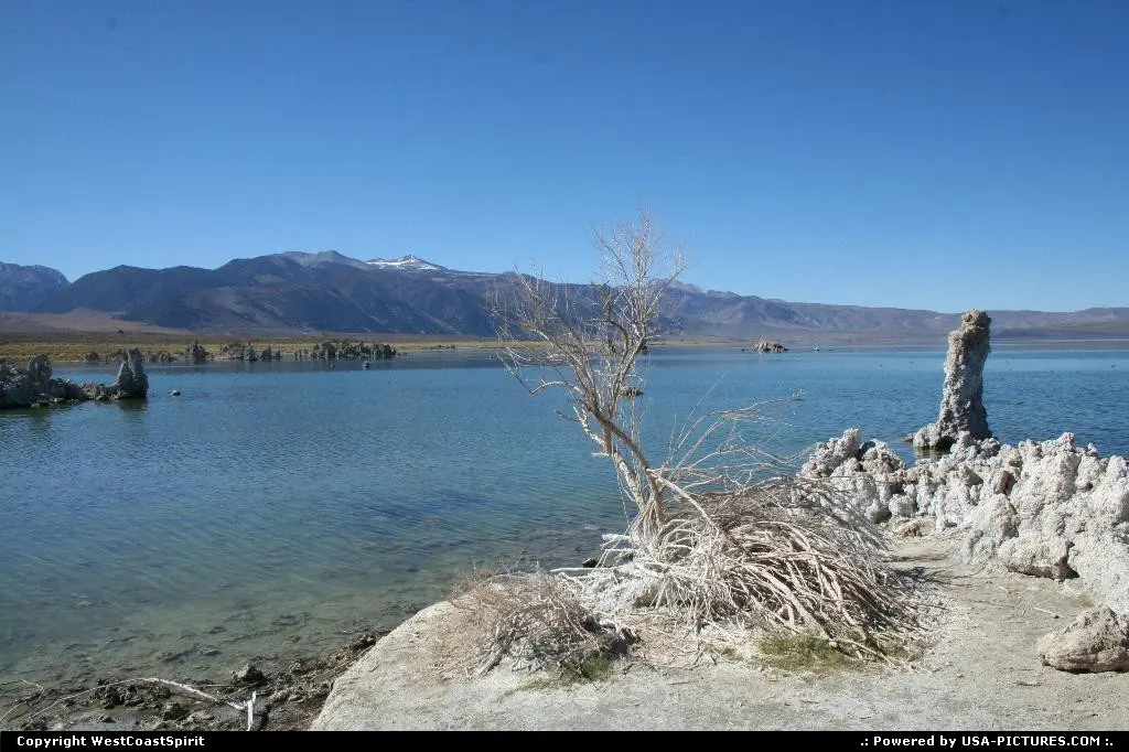 Calcium formations in Mono Lake, near the Tioga Pass.
