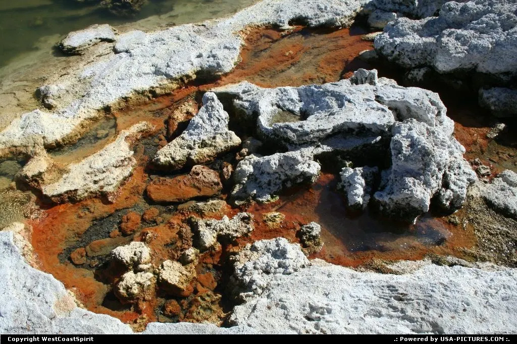 Yellowstone anyone?