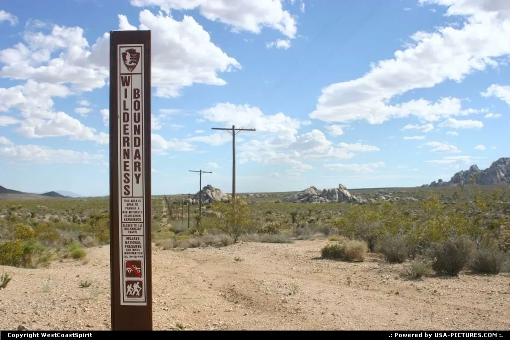On the road between Amboy and Las Vegas. Wilderness & desert around.