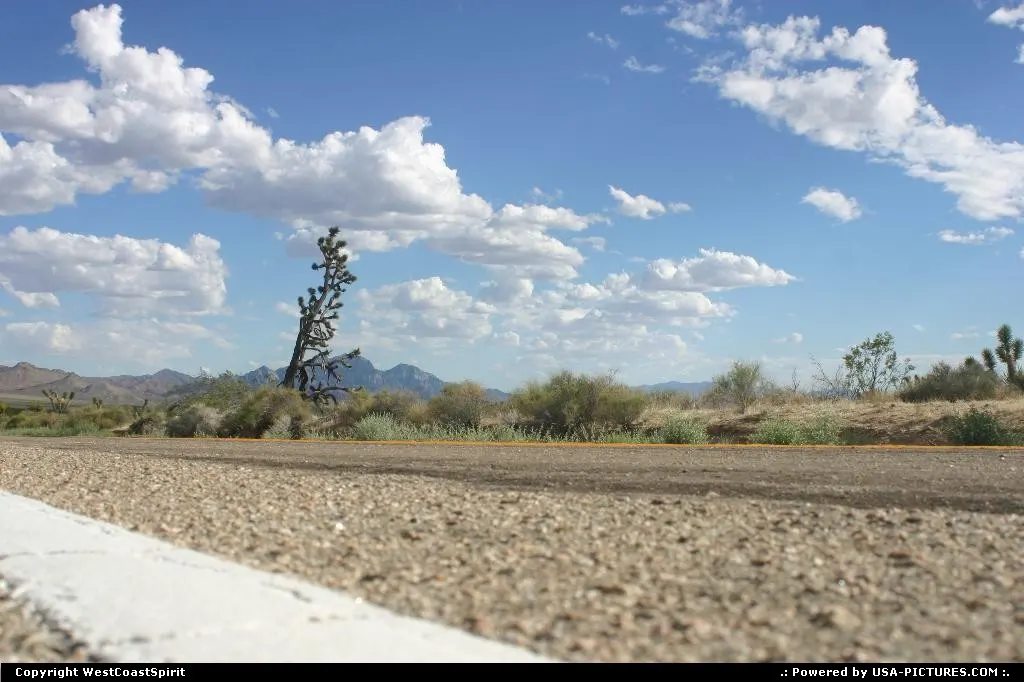 Road tripping in the wilderness.