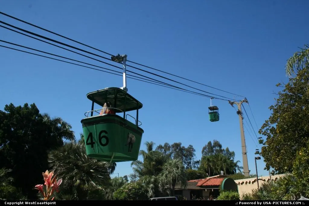 Gondola within the zoo. It's a great way to have a bird view of the massive San Diego Zoo.