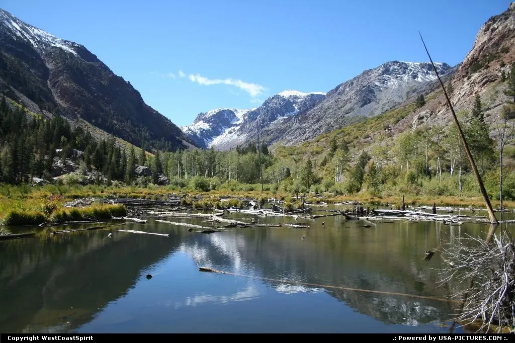 Lundy Canyon in Inyon National Forest.