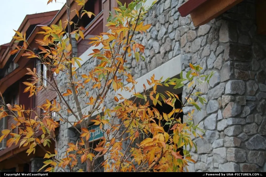 Fall is coming at Lake Tahoe. Another winter is coming to enjoy skiing!