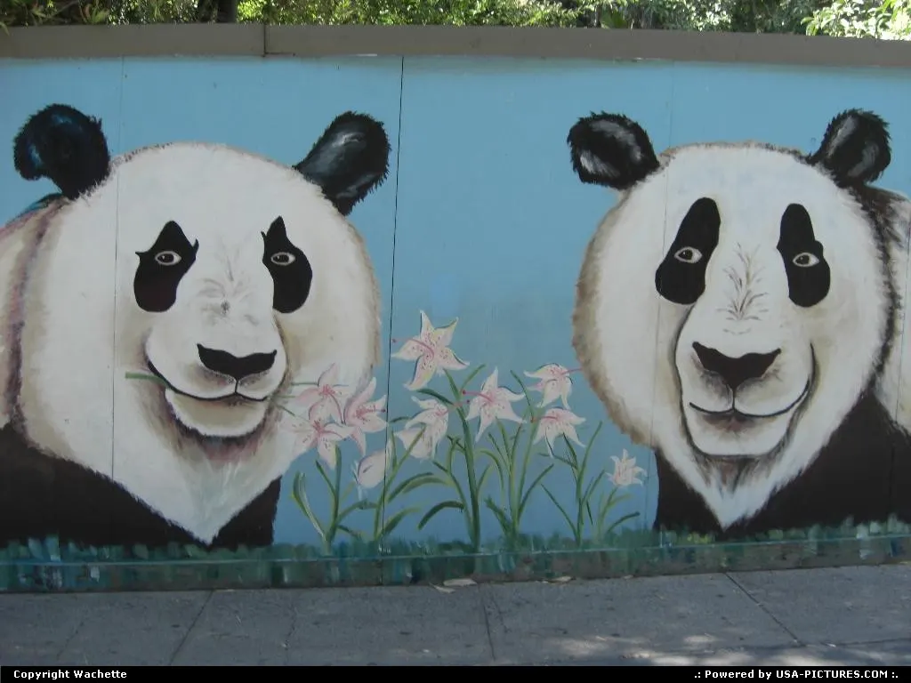 mural in the zoo of san diego