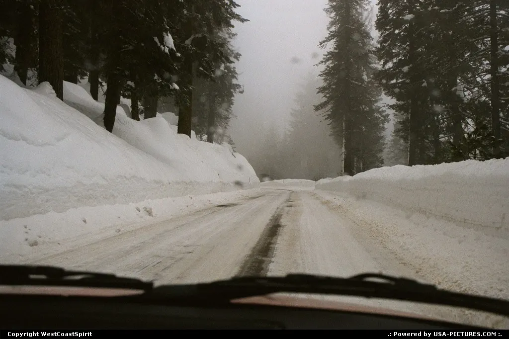 Driving in Sequoia National Park during winter. Ouch!