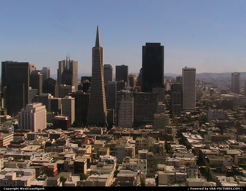 Overview of dowtown from the top of the Coit Tower.