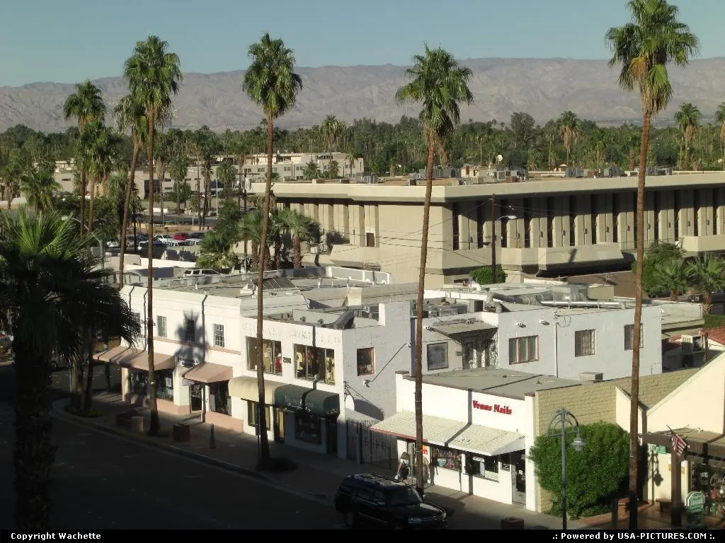view of palm spring