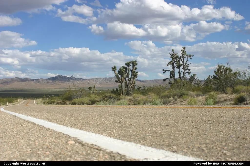 Road tripping countryside, en route to Vegas.